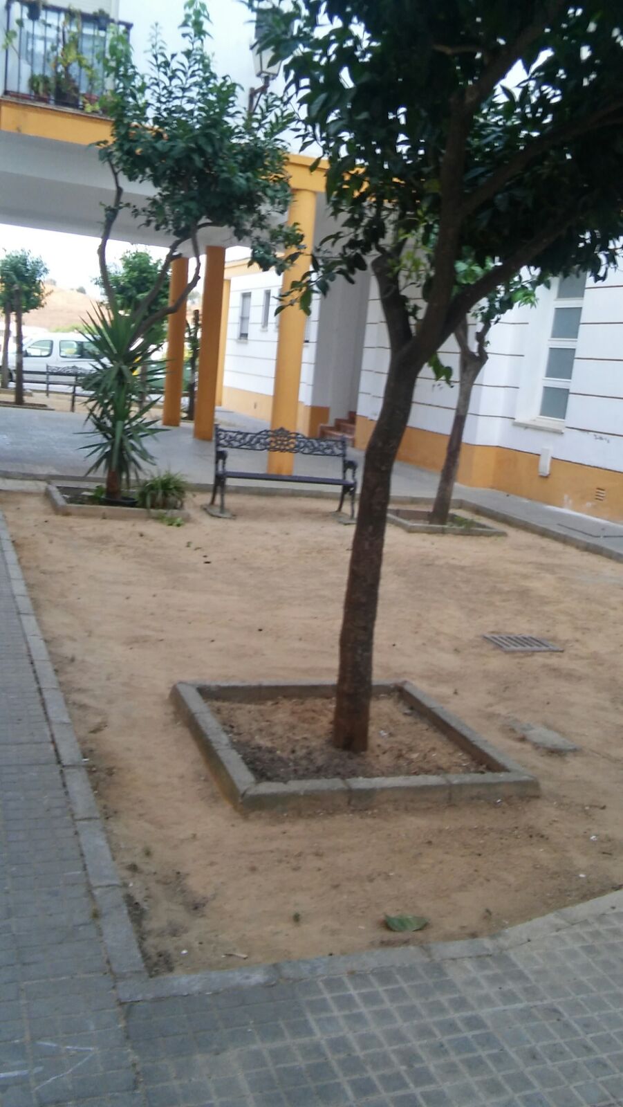 Limpieza de patios