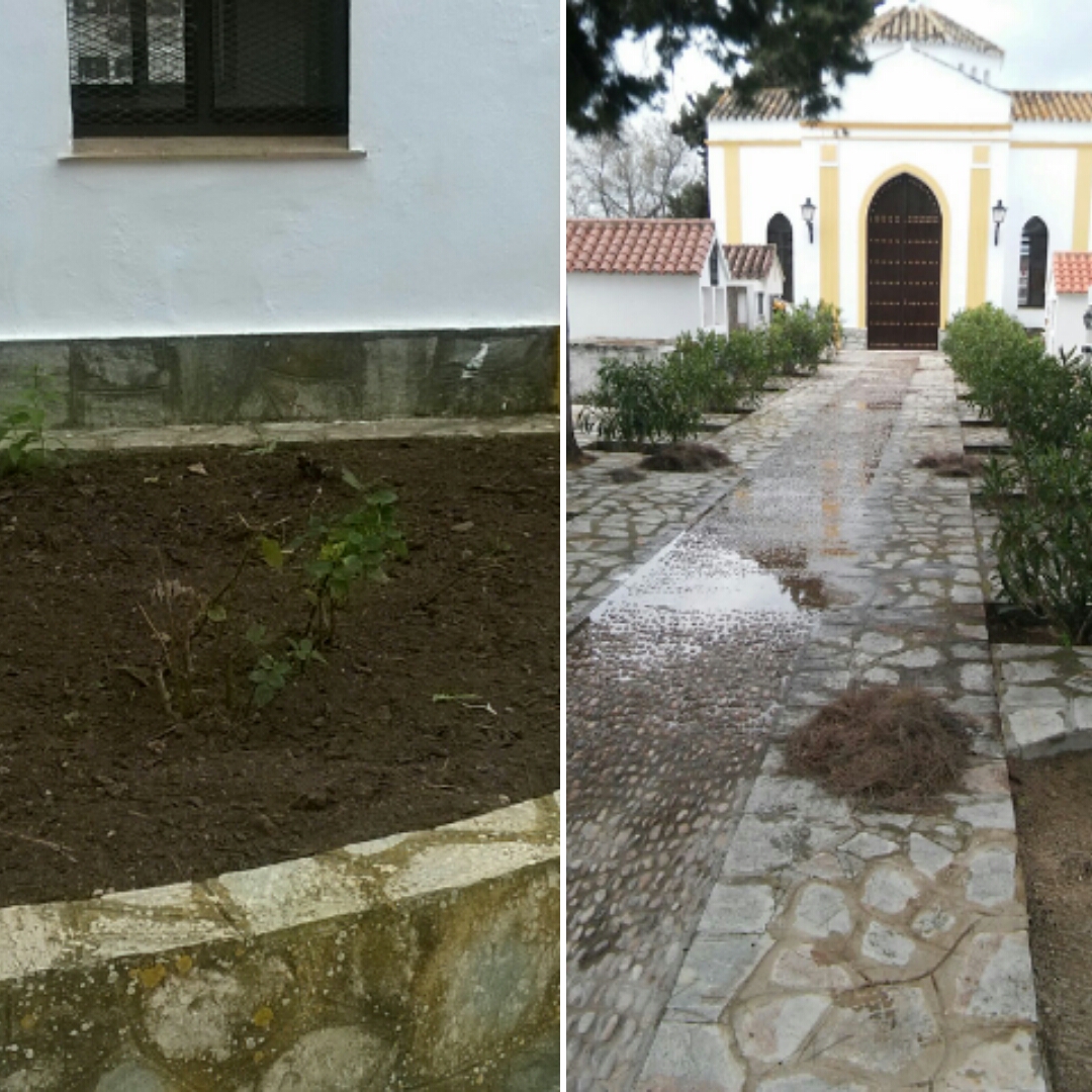Limpieza y mantenimiento del Cementerio Municipal. 2