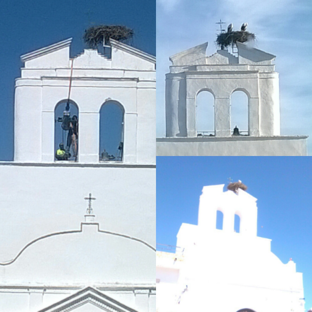 Restauración de las campanas de la iglesia y limpieza y pintado de la fachada.. 2