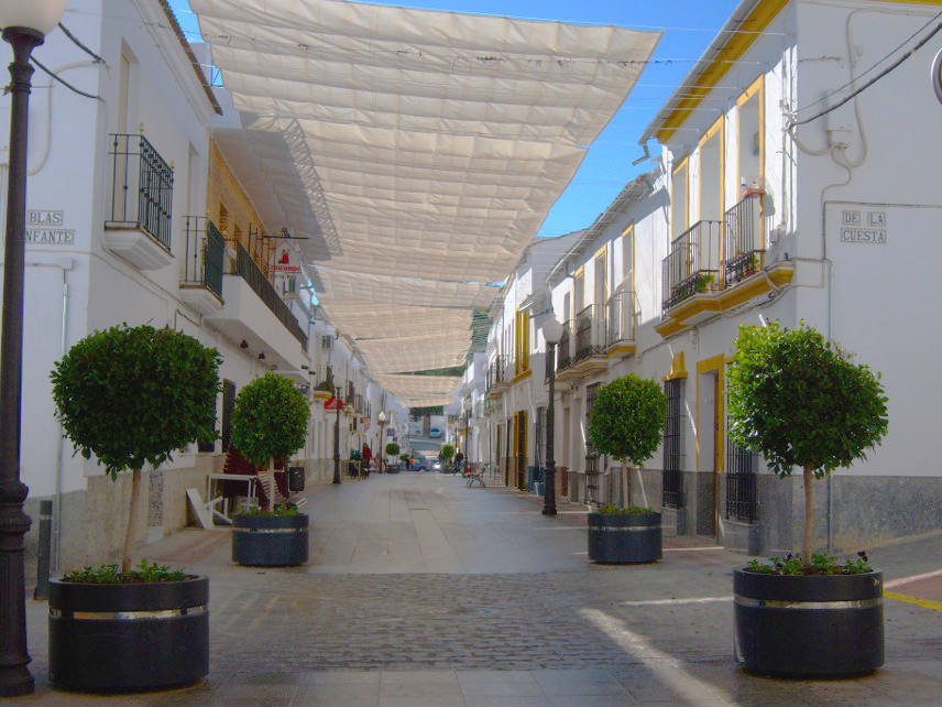 Calle Real01