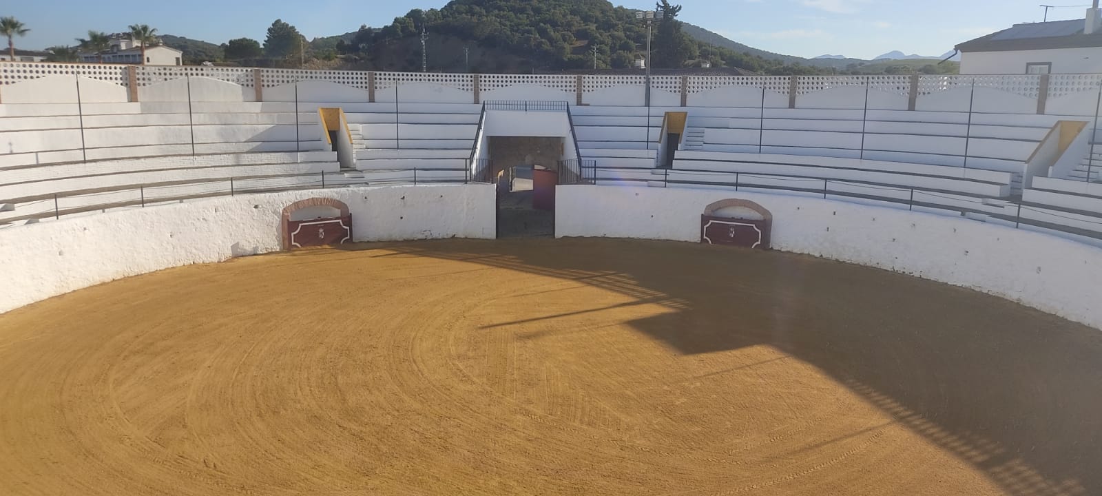 Plazatoro1