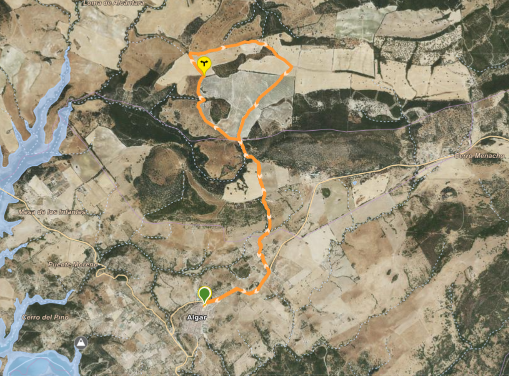 Ruta Del Lentisco