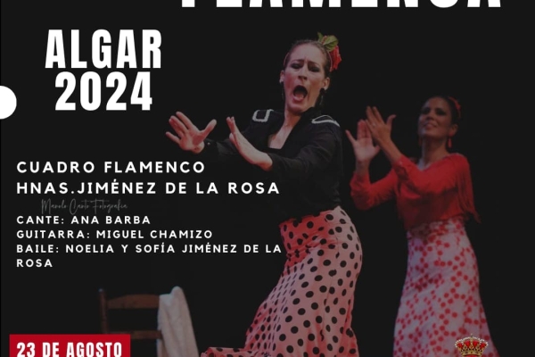 CartelNocheFlamenca